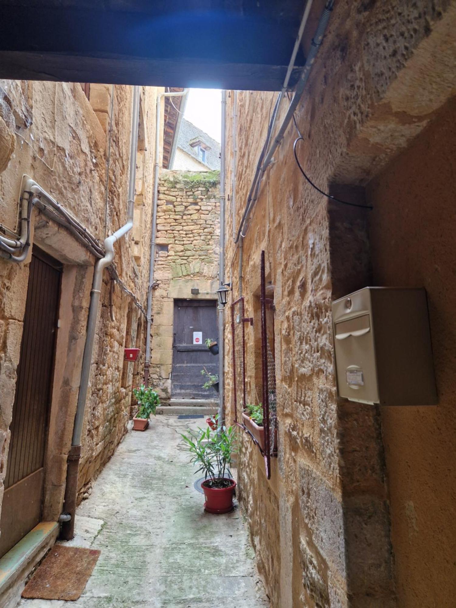 Les Flamboyants Apartment Sarlat-la-Caneda Bagian luar foto