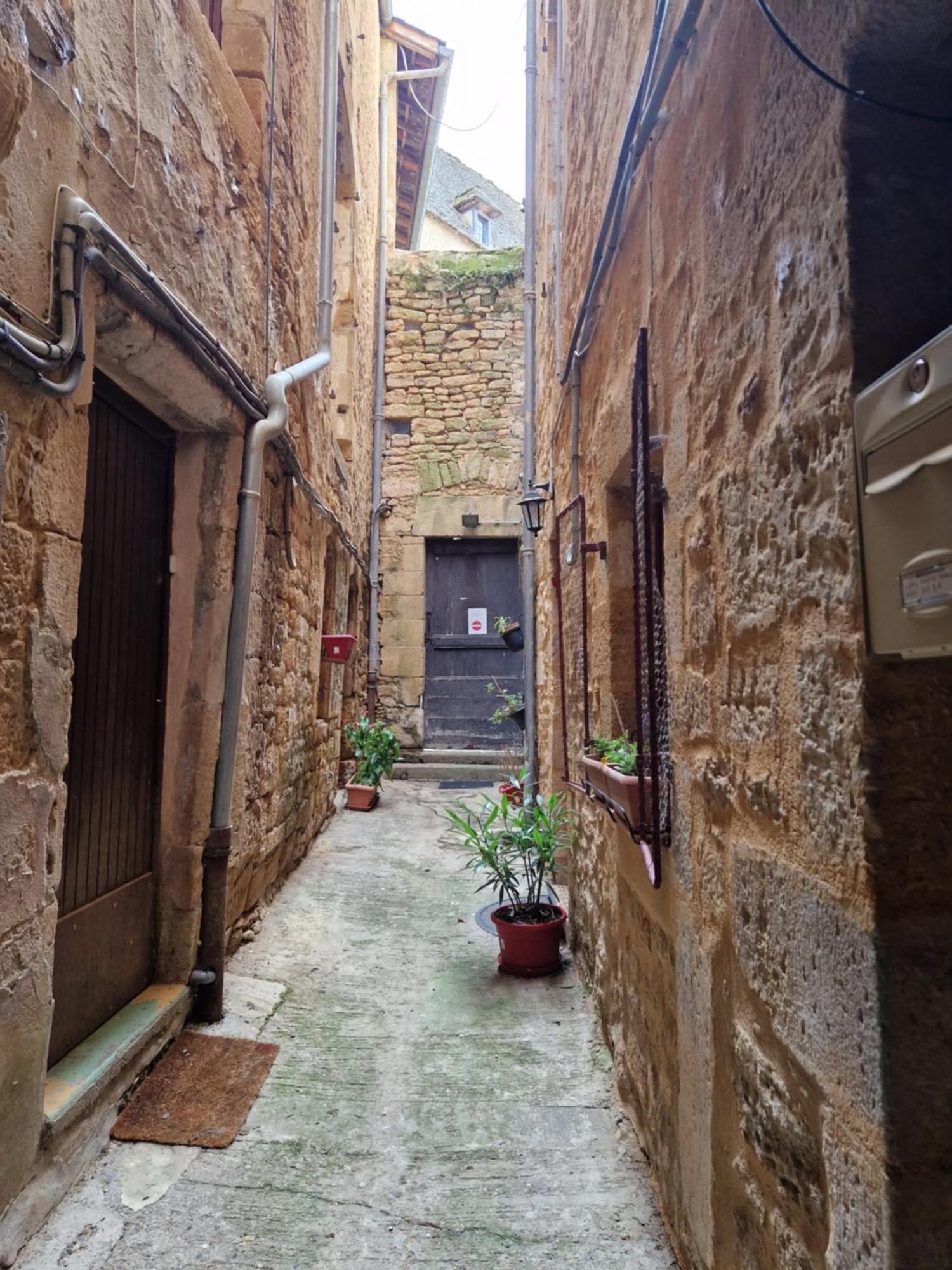 Les Flamboyants Apartment Sarlat-la-Caneda Bagian luar foto